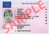 DRIVER LICENCE